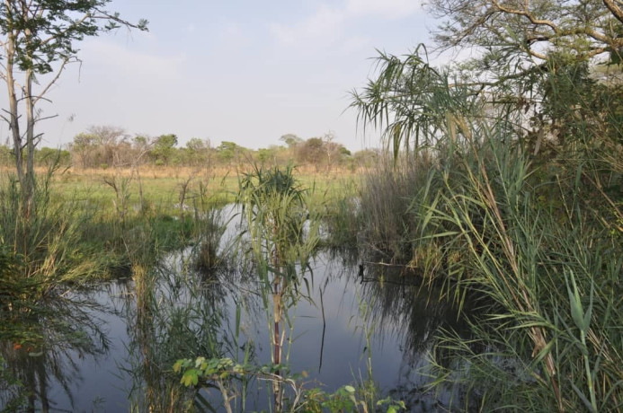 111-hectares-of-farm-land-for-sale-in-nasanga-project-big-5