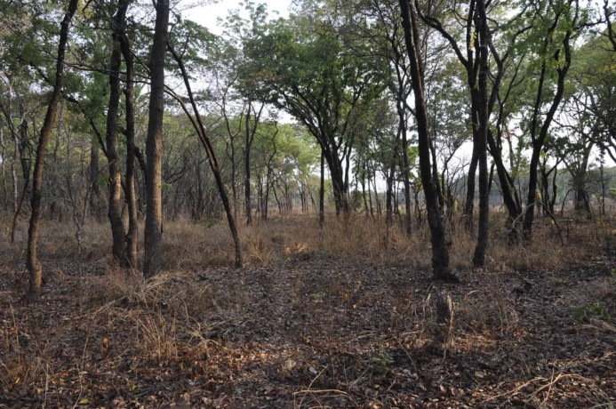 111-hectares-of-farm-land-for-sale-in-nasanga-project-big-2