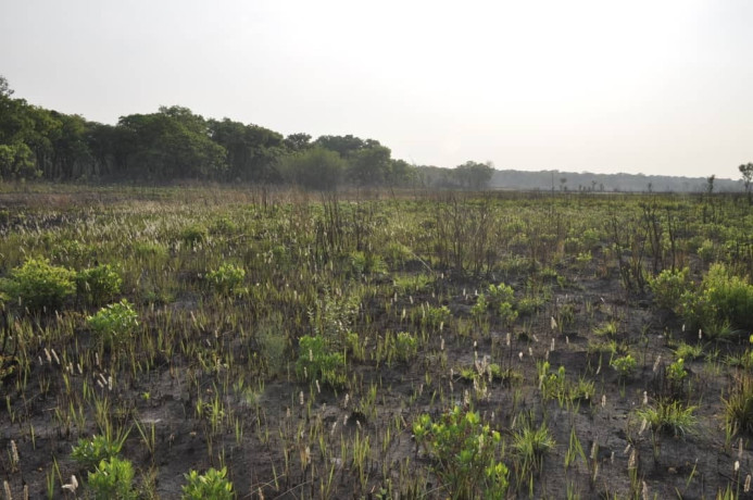 111-hectares-of-farm-land-for-sale-in-nasanga-project-big-4