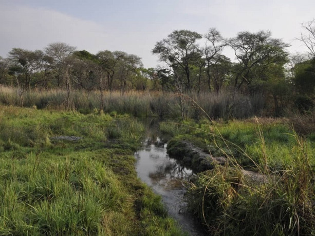 111-hectares-of-farm-land-for-sale-in-nasanga-project-big-6