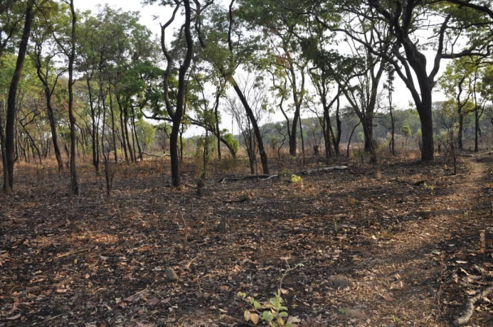 111-hectares-of-farm-land-for-sale-in-nasanga-project-big-1