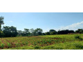 5-acre-land-for-sale-in-ibex-hill-small-0
