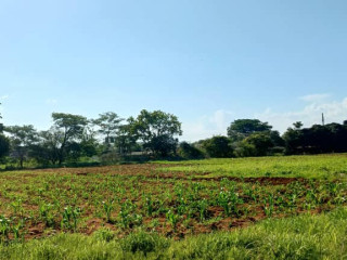 5-acre-land-for-sale-in-ibex-hill