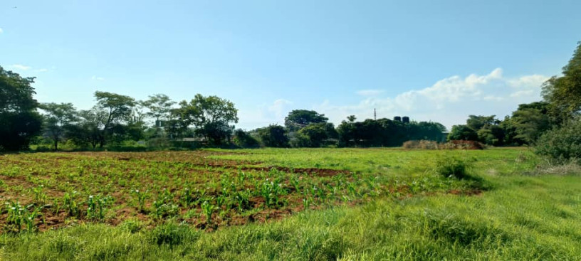 5-acre-land-for-sale-in-ibex-hill-big-1