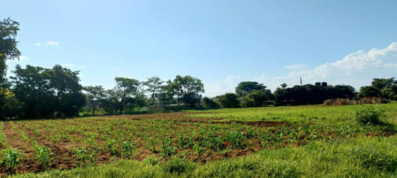 5-acre-land-for-sale-in-ibex-hill-big-0