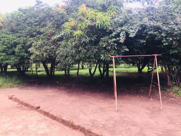 9-acres-farm-for-sale-in-shimabala-big-6