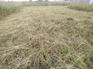 58552-sqm-plot-for-sale-in-meanwood-vorna-valley