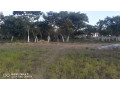 land-for-sale-in-ibex-hill-small-2