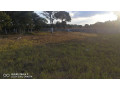 land-for-sale-in-ibex-hill-small-1