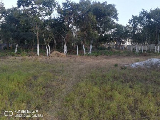 land-for-sale-in-ibex-hill-big-0