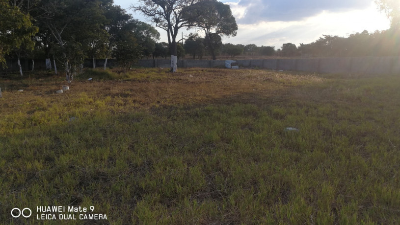 land-for-sale-in-ibex-hill-big-1