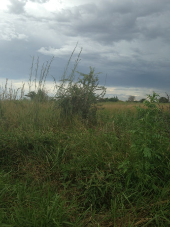 1510-acres-of-virgin-land-for-farming-big-1