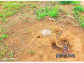 1-acre-plots-for-sale-off-lusaka-west-small-1