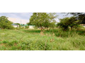 land-for-sale-in-ibex-meanwood-small-0