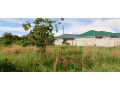 land-for-sale-in-ibex-meanwood-small-2