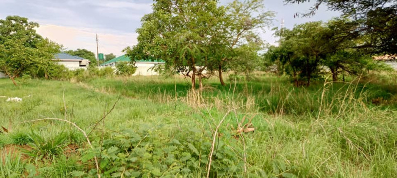 land-for-sale-in-ibex-meanwood-big-0