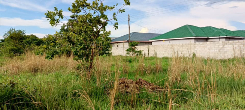 land-for-sale-in-ibex-meanwood-big-2