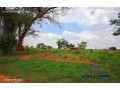 10-acre-farm-for-sale-in-makeni-small-1