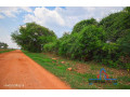 10-acre-farm-for-sale-in-makeni-small-4