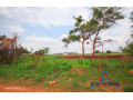 10-acre-farm-for-sale-in-makeni-small-3