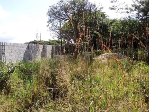 65m-by-40m-plot-for-sale-in-ibex-hill-big-1