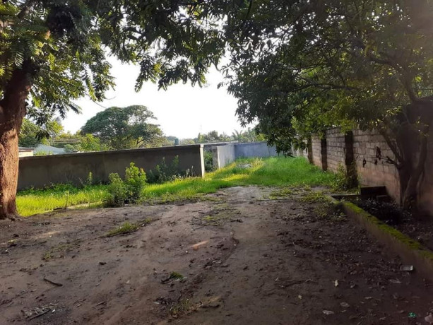 1-acre-plot-for-sale-in-kalundu-big-4