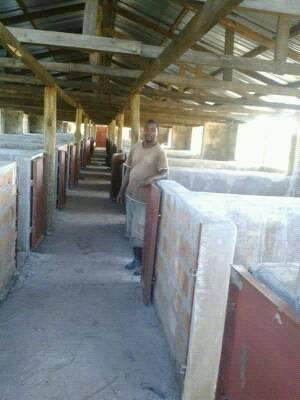 13-hectares-of-farm-land-for-sale-in-ndola-big-4