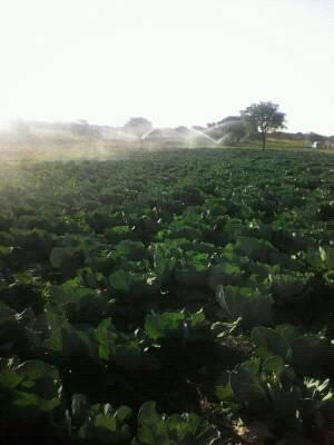 13-hectares-of-farm-land-for-sale-in-ndola-big-7