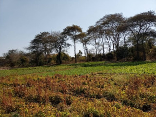 125-acres-land-for-sale-in-chongwe