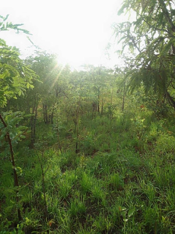 40m-by-40m-plot-for-sale-in-mikango-big-2