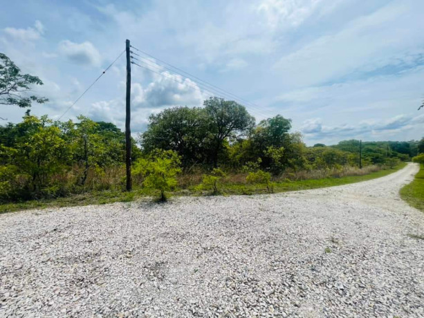 land-for-sale-in-state-lodge-big-2