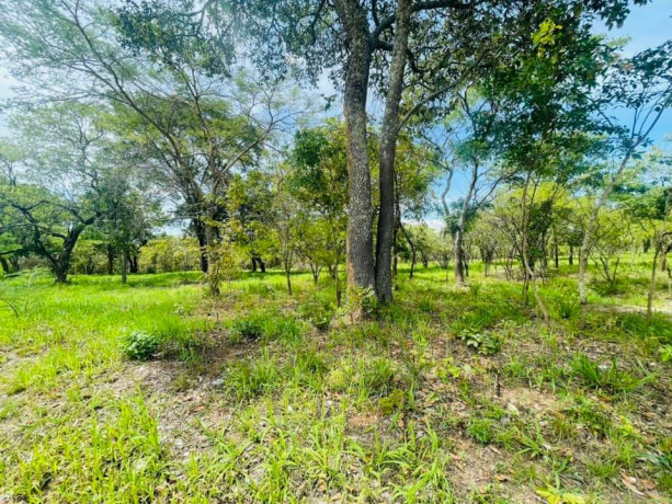 land-for-sale-in-state-lodge-big-4