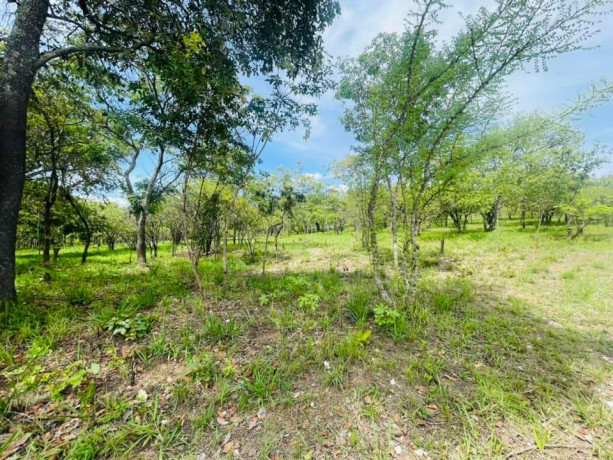 land-for-sale-in-state-lodge-big-0