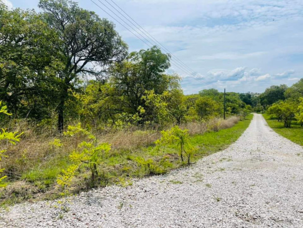 land-for-sale-in-state-lodge-big-1