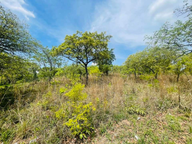 land-for-sale-in-state-lodge-big-6