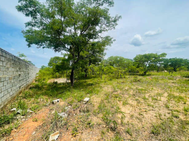 land-for-sale-in-state-lodge-big-2