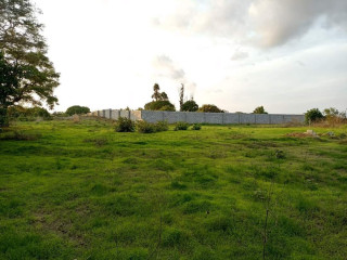 subdivided-plots-for-sale-in-silverest