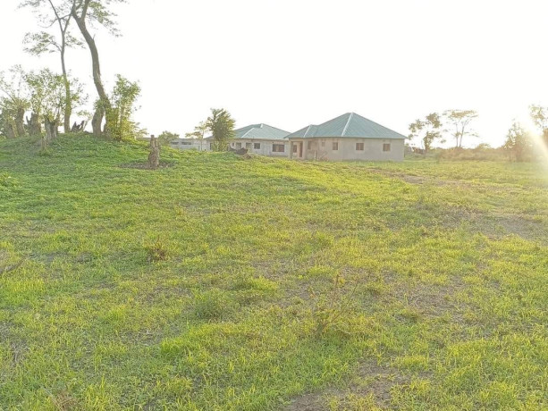 subdivided-plots-for-sale-in-silverest-big-3