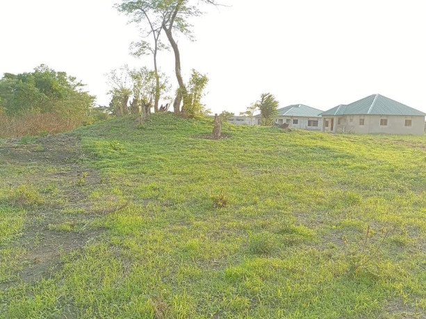 subdivided-plots-for-sale-in-silverest-big-1