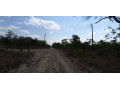 56-acres-land-for-sale-in-shimabala-small-3