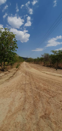 56-acres-land-for-sale-in-shimabala-big-0