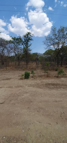 56-acres-land-for-sale-in-shimabala-big-2