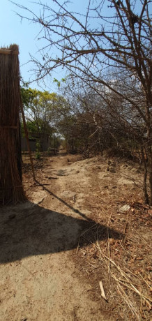 56-acres-land-for-sale-in-shimabala-big-4