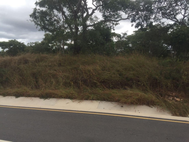 5-acres-land-for-sale-in-meanwood-ibex-big-4