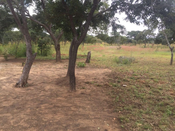 5-acres-land-for-sale-in-meanwood-ibex-big-7