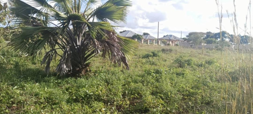 40m-by-50m-plot-for-sale-in-silverest-big-1