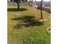 40m-by-50m-plot-for-sale-in-ibex-hill-small-1