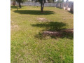 40m-by-50m-plot-for-sale-in-ibex-hill-small-4