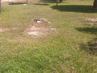 40m-by-50m-plot-for-sale-in-ibex-hill