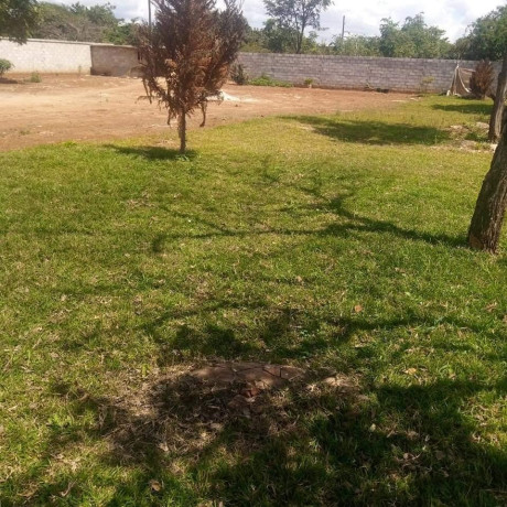 40m-by-50m-plot-for-sale-in-ibex-hill-big-3